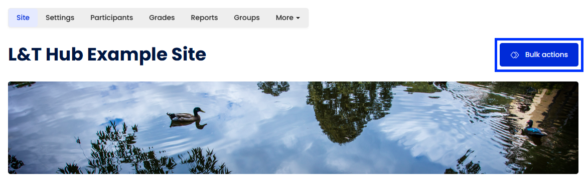 Moodle - Bulk Actions Button
